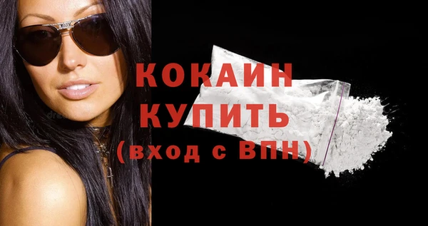 прущие грибы Переславль-Залесский