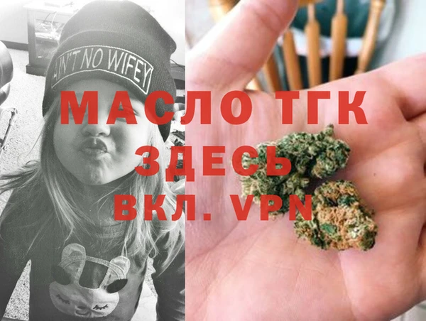 прущие грибы Переславль-Залесский