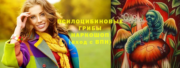 гидропоника Пересвет