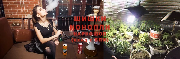 амф Осташков