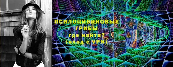 амф Осташков