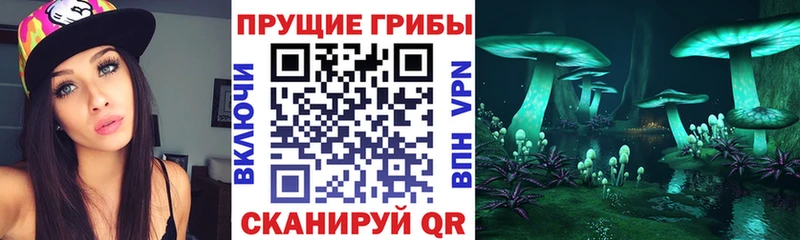 Псилоцибиновые грибы Magic Shrooms  Туринск 